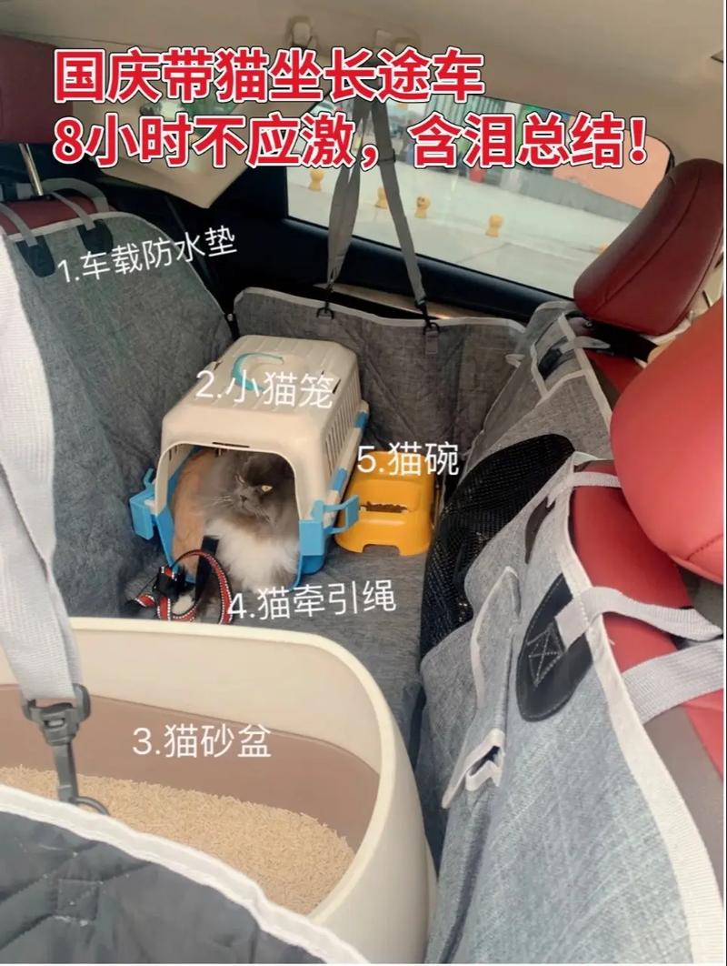 猫可以带上长途汽车吗?