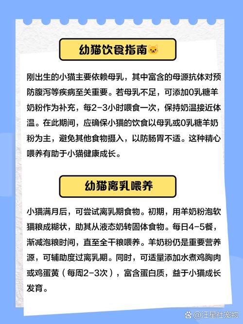小猫刚出生吃什么