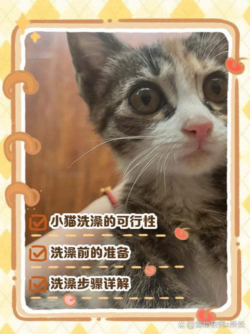 两三个月大的小猫可以洗澡吗?