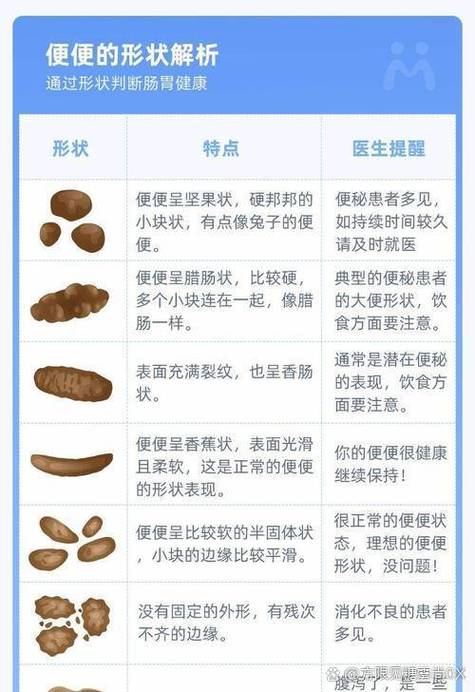 泰迪吃完饭多久拉屎,小泰迪吃完饭不拉屎