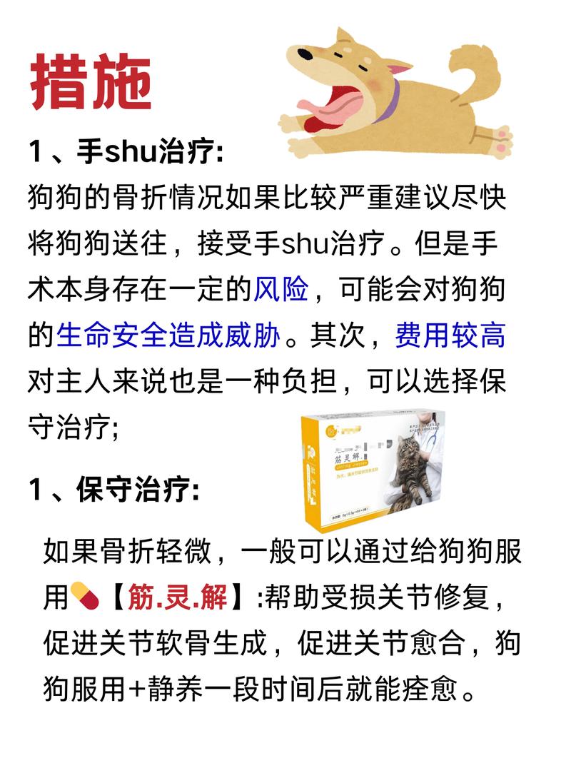 狗狗骨裂了会自己好吗