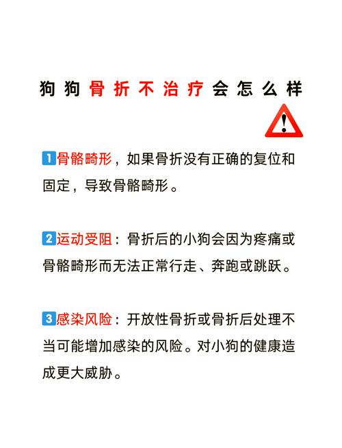 狗狗骨折不治疗会不会死