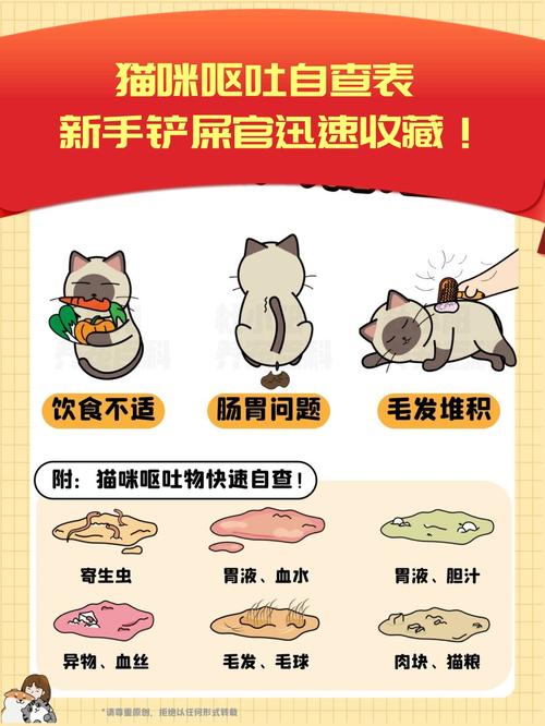 猫咪呕吐吃什么药好,猫咪呕吐吃什么药可以解决