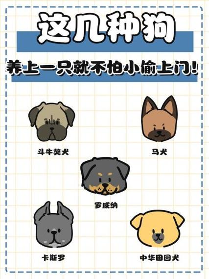 小型犬哪个看门厉害护主好养的狗狗品种有哪些