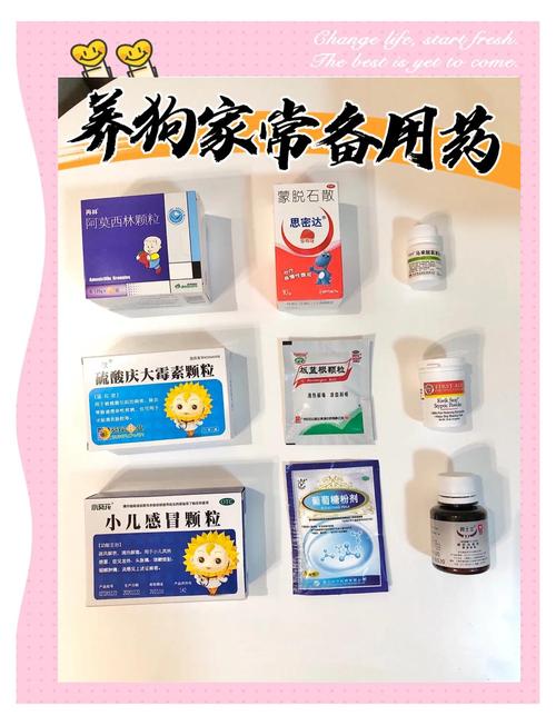 狗狗发烧吃什么药