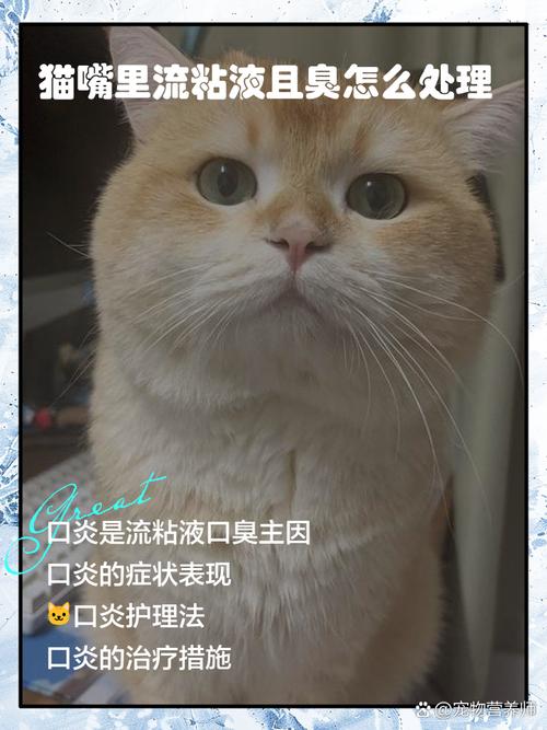 猫咪流口水还很臭