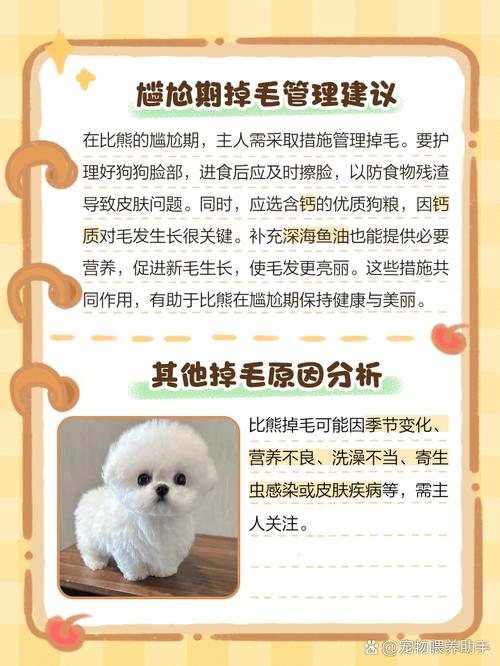 狗狗冬天可以剃毛吗