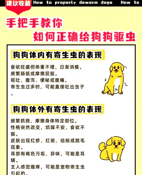 小狗多大可以体外驱虫