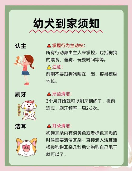新手养狗I幼犬到家须知,大常见问题