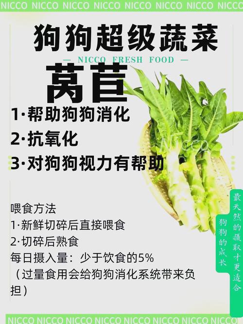 狗狗为什么吃莴笋