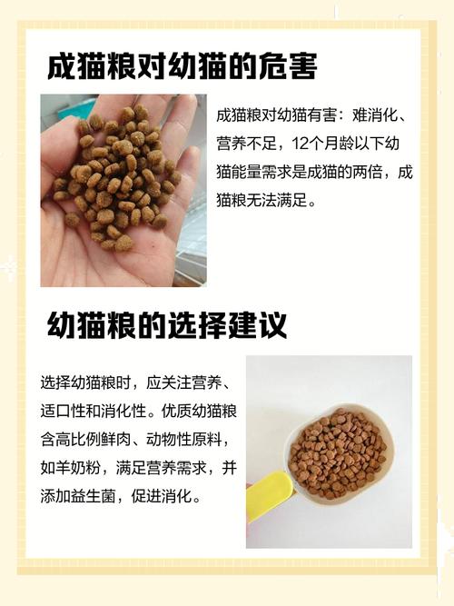 小猫一直吃幼猫粮,现在三个月可以直接换成年猫粮吗?