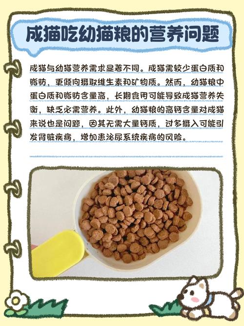 四个月幼猫吃成猫粮会怎样