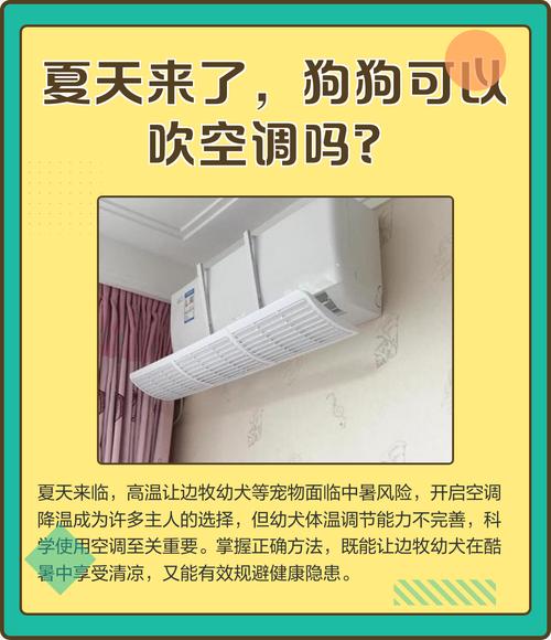 夏季给狗狗降温I错误预警I正确示范