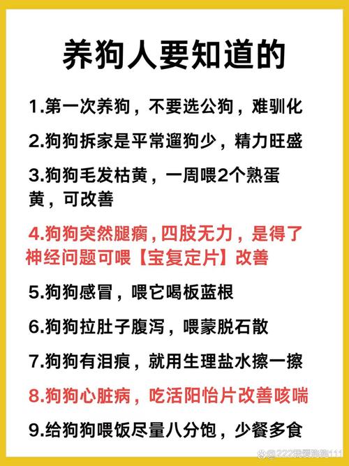 夏天养狗,千万别