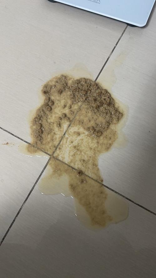 猫咪干呕吐没精神不振