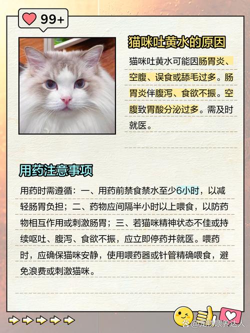 猫吐黄色的液体怎么回事