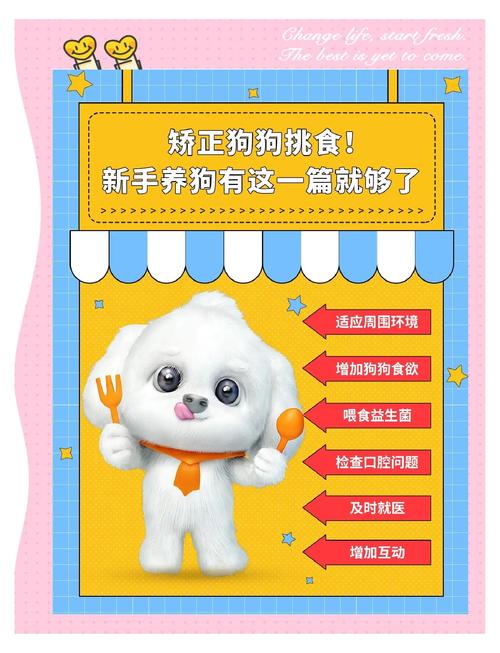 狗狗吃鸡肝的好处和坏处!!