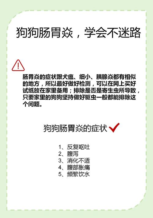 狗狗得了急性肠胃炎怎么办