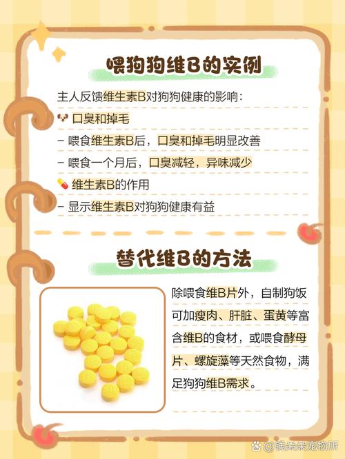 狗狗能吃人吃的维生素B1吗?