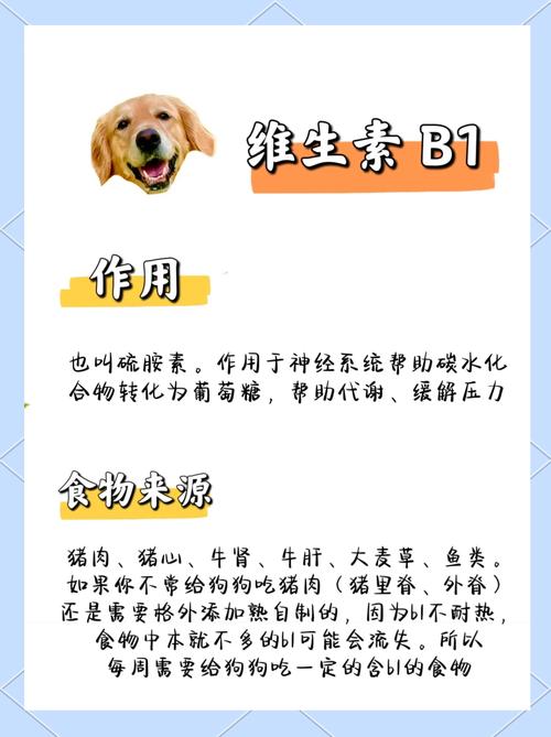 狗吃了人吃的维生素D怎么办