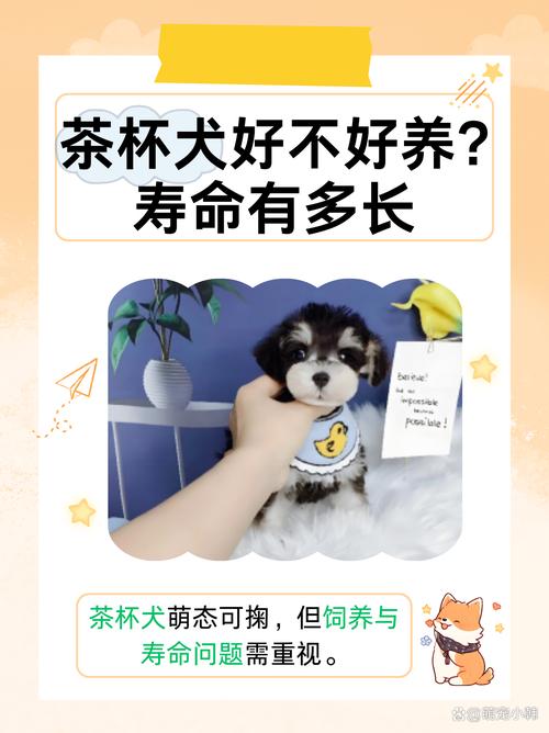 狗狗可以喝茶吗