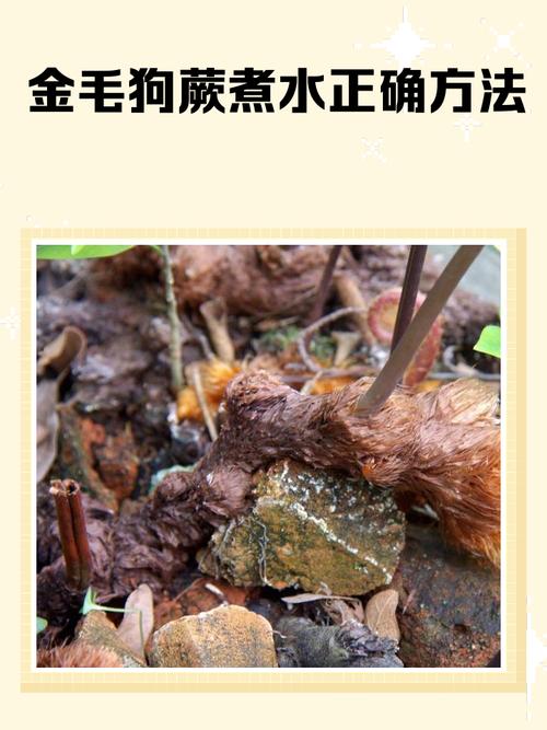 狗喝茶叶水会怎么样