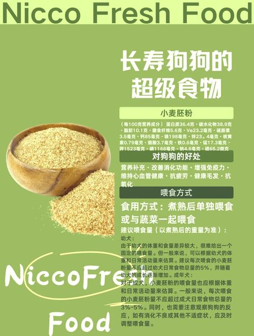 给狗狗补人吃的蛋白质粉可以吗,.?