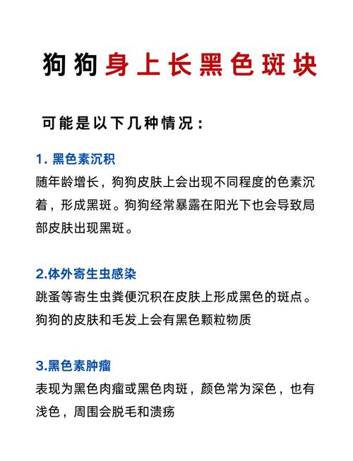 法斗狗狗为什么会有黑斑