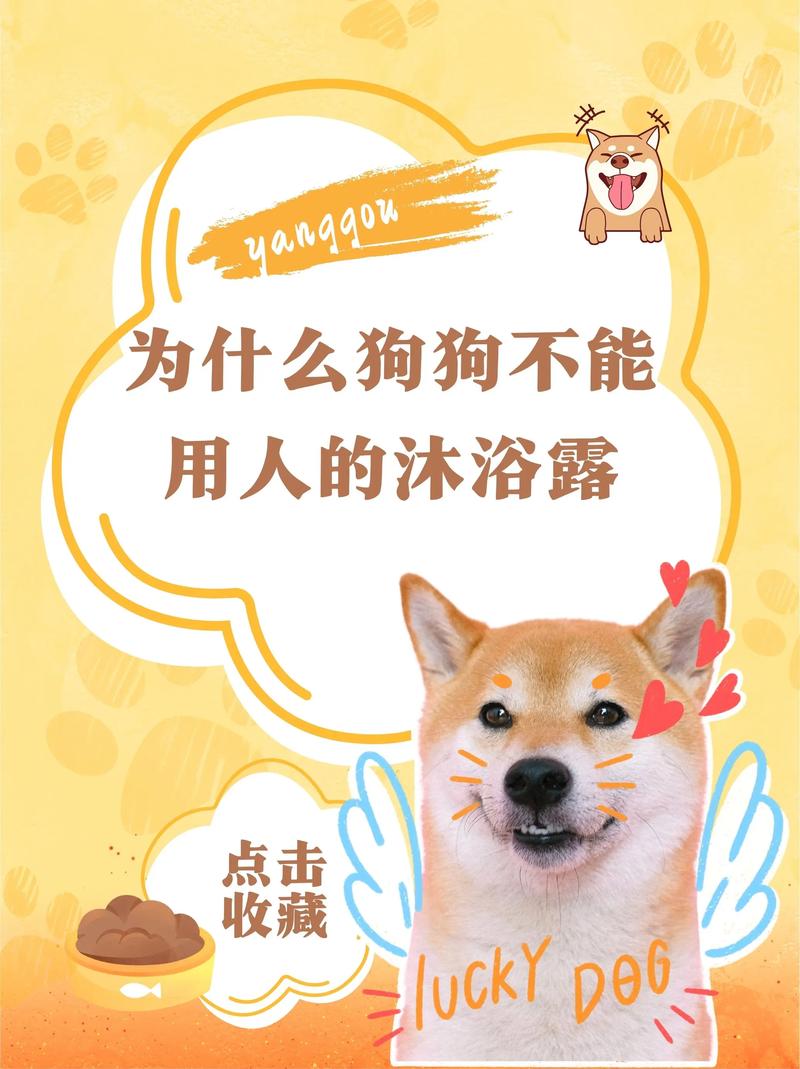 狗狗能用人的沐浴露吗