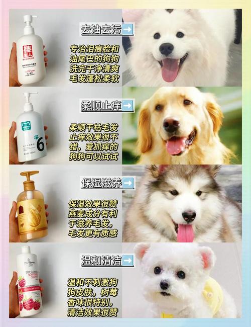 给狗洗澡能用沐浴露么