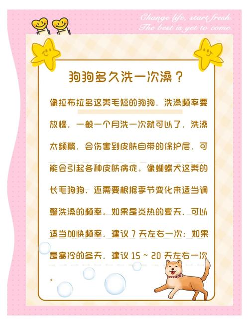 新手养狗|如何给狗狗洗澡
