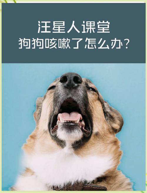 我家狗狗咳嗽,有点打喷嚏,好像是干咳,就一阵,食欲很好,很精神,