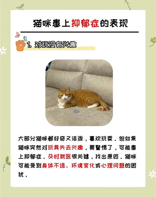 猫咪也会得!千万不要忽视猫咪的抑郁症?