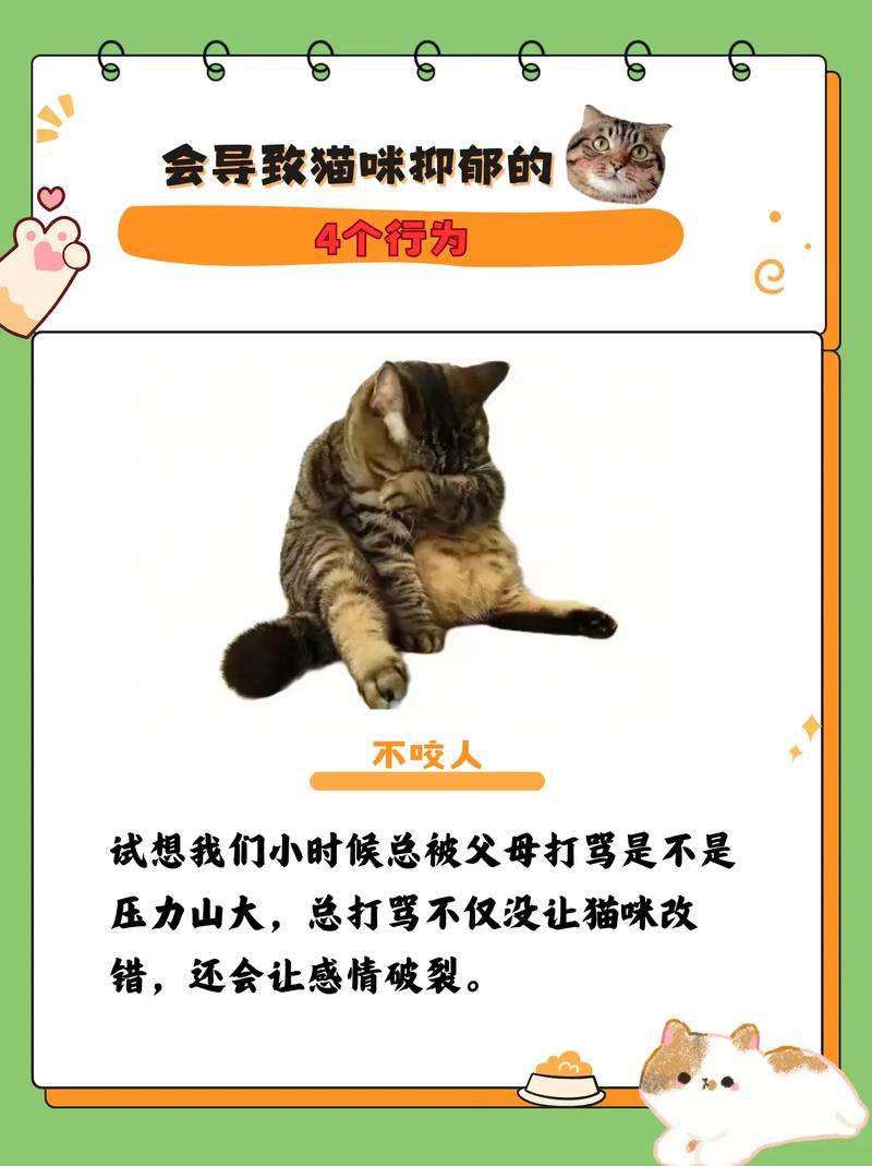 养宠知识:猫咪会得“抑郁症”吗?