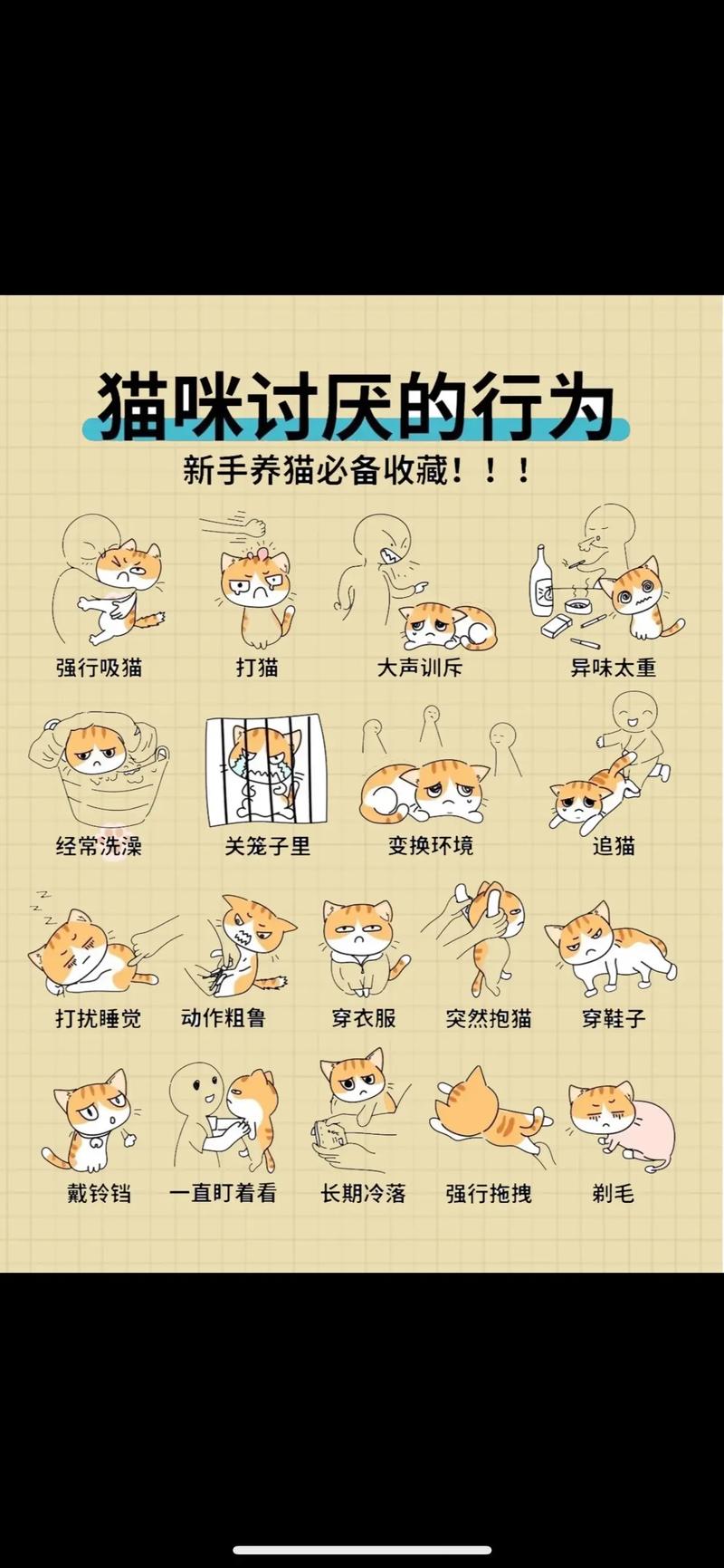 猫咪躺下一直拍打尾巴