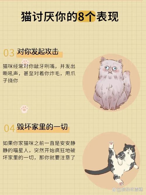 猫咪侧躺着拍打尾巴是什么意思