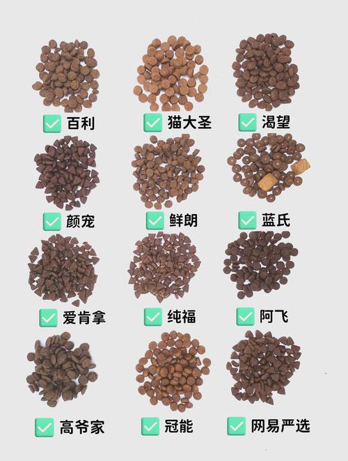 幼猫猫粮哪个牌子比较好