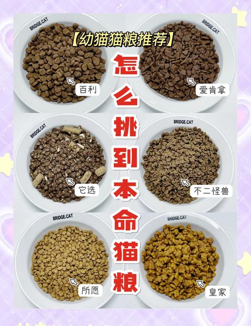 幼猫猫粮哪个牌子比较好?2025幼猫最建议买的5个品牌