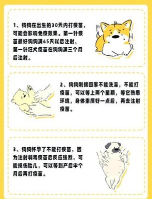 狗疫苗可以重新打吗