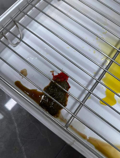 狗狗拉肚子带血怎么治