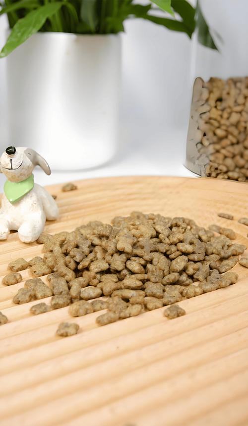 狗拉稀能不能吃狗粮