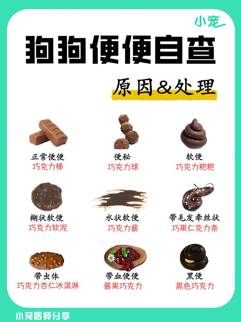 狗狗拉稀能吃狗粮吗