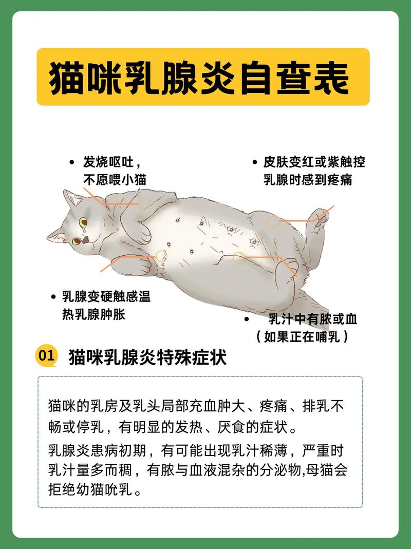 猫咪乳腺炎能自愈吗