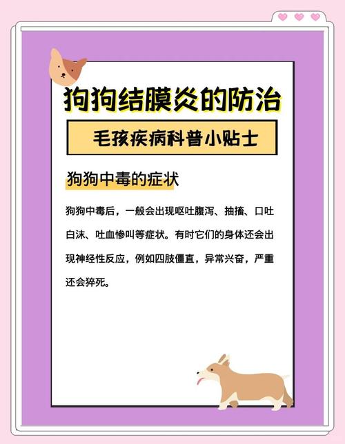 狗得了红眼病怎么办