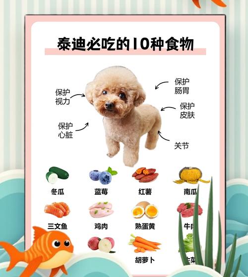 比较乖的狗狗品种有哪些?