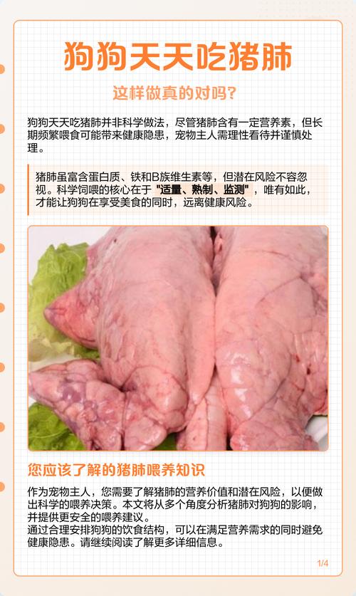 狗吃猪肺的6大忌