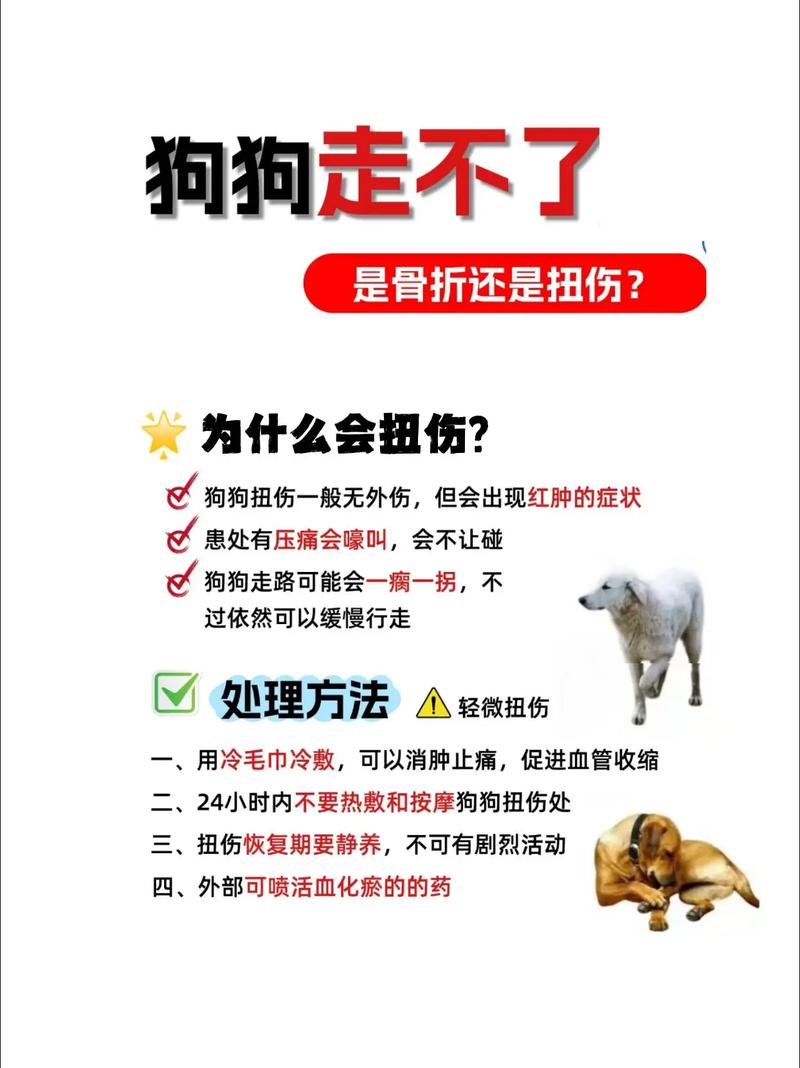 狗狗脚扭伤后有什么表现?