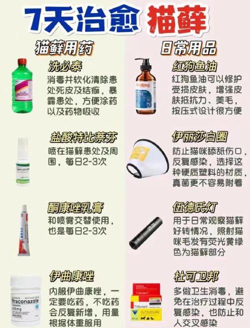 猫咪身上起了癣怎么办