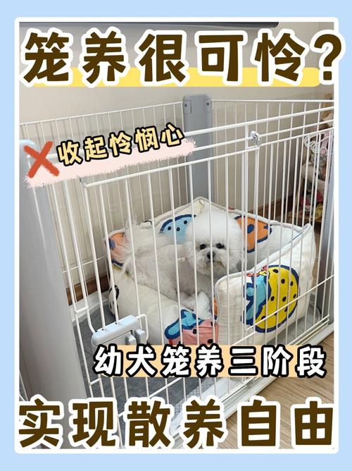 狗狗要不要笼养?