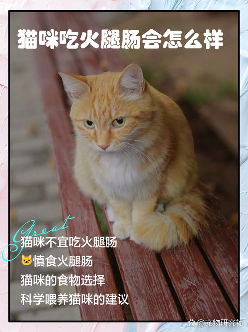 猫吃了火腿肠会怎么样?